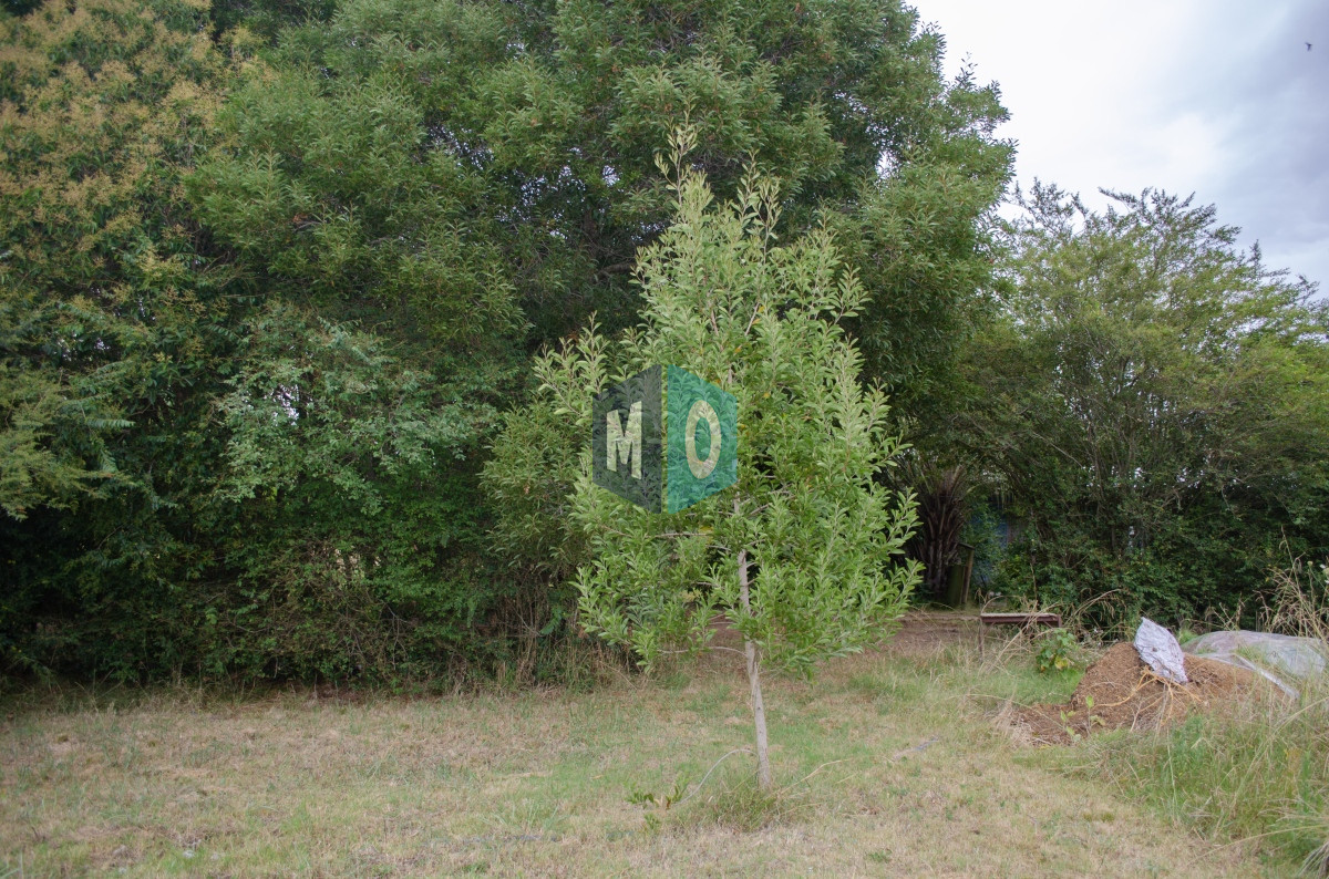 Chacra ID.597 - Chacra en San Carlos - Imperdible