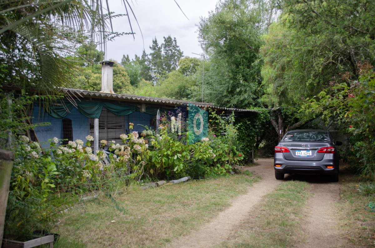 Chacra ID.597 - Chacra en San Carlos - Imperdible