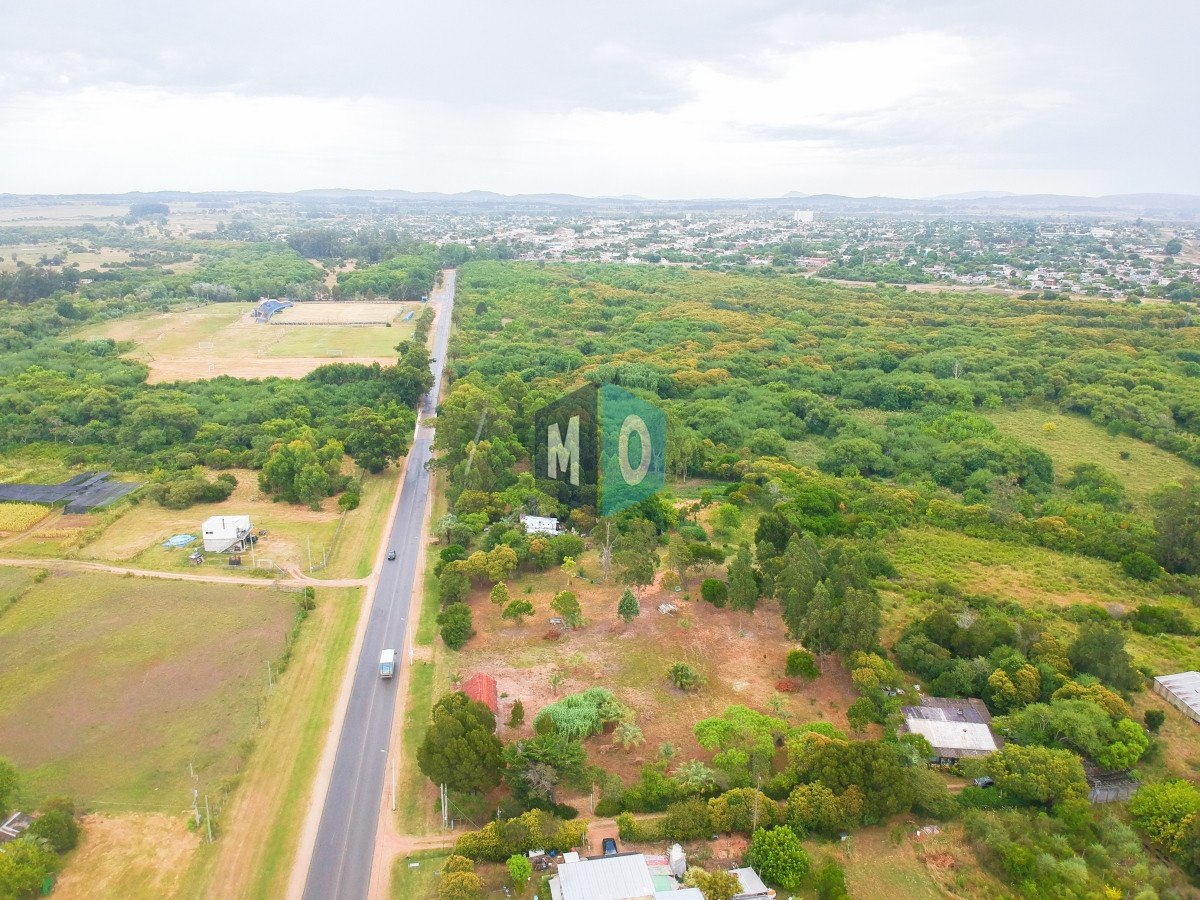 Chacra ID.597 - Chacra en San Carlos - Imperdible