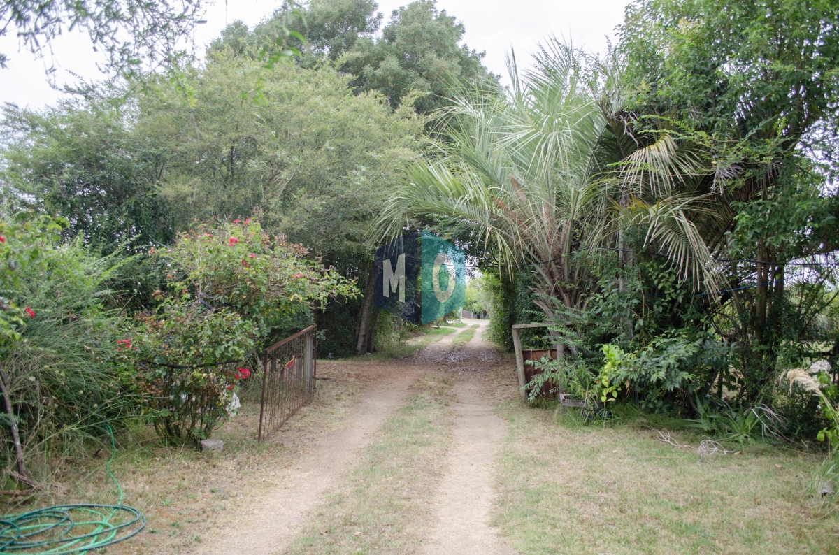 Chacra ID.597 - Chacra en San Carlos - Imperdible