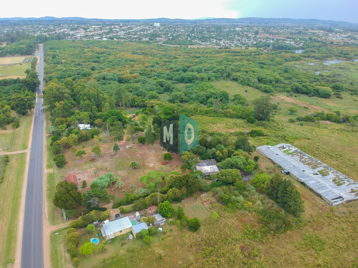 Chacra ID.597 - Chacra en San Carlos - Imperdible