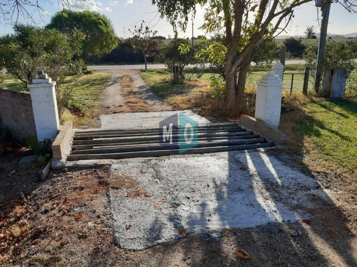Chacra ID.345 - Oportunidad!! Chacra en venta 400m2, Maldonado