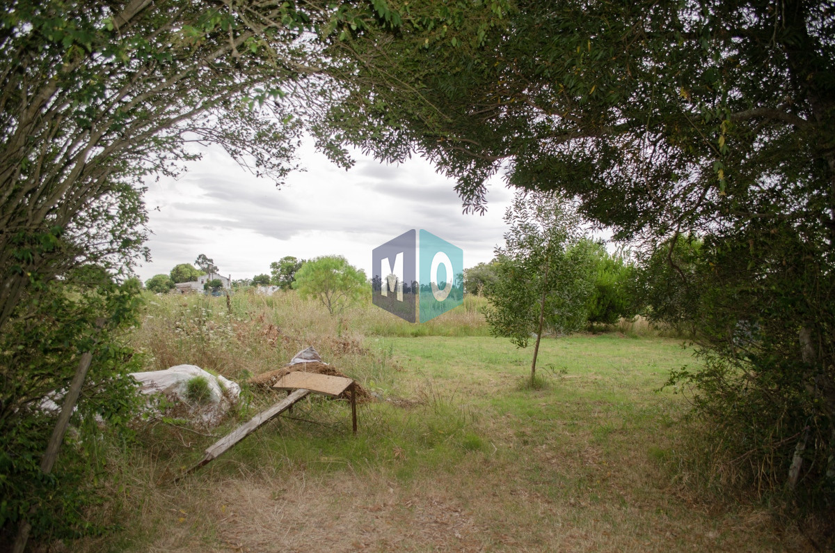 Chacra ID.597 - Chacra en San Carlos - Imperdible
