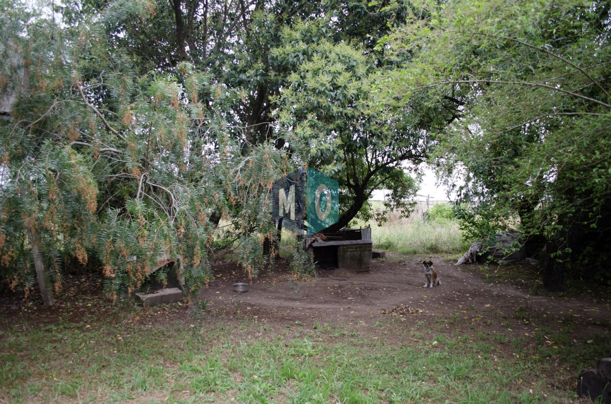 Chacra ID.597 - Chacra en San Carlos - Imperdible