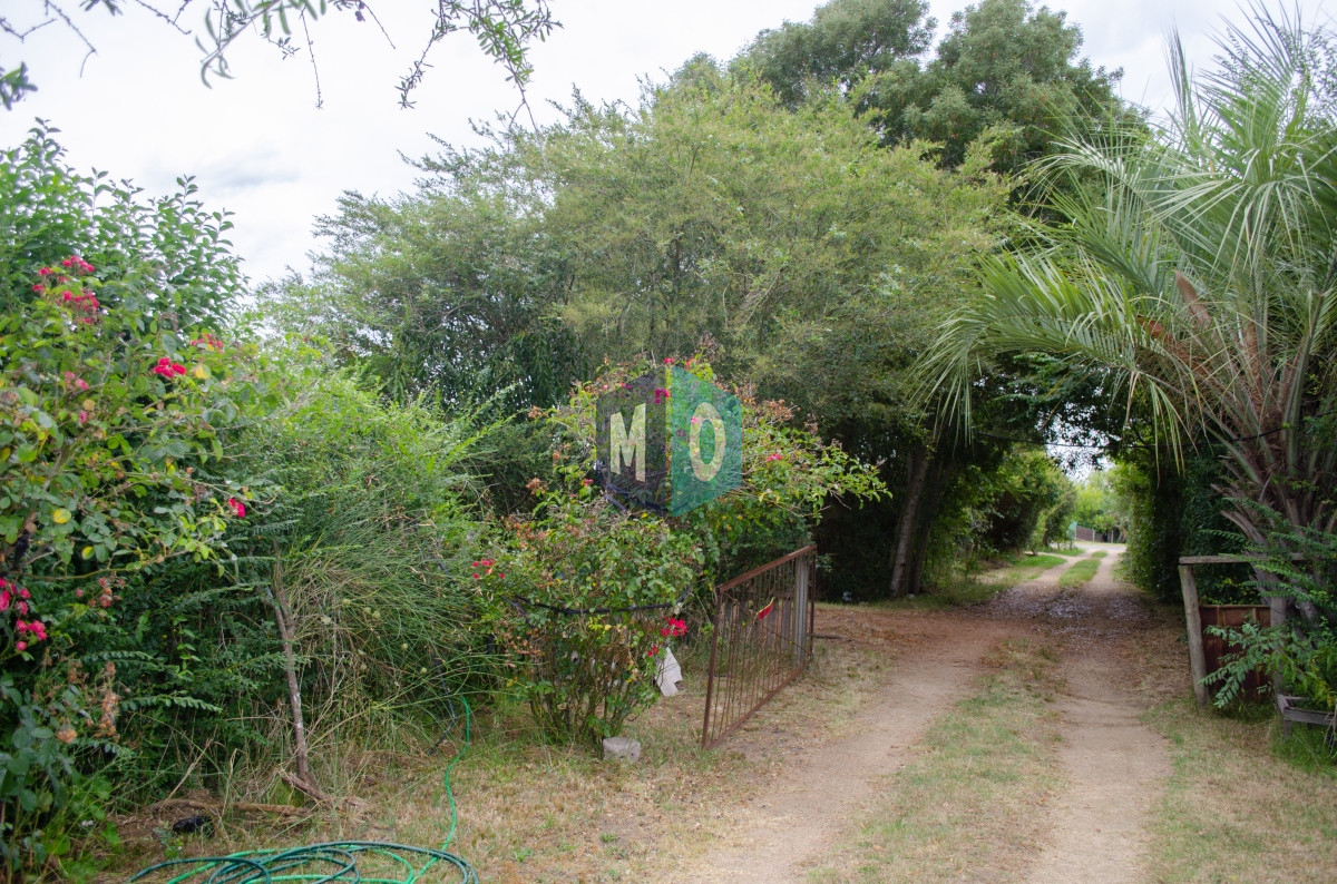 Chacra ID.597 - Chacra en San Carlos - Imperdible