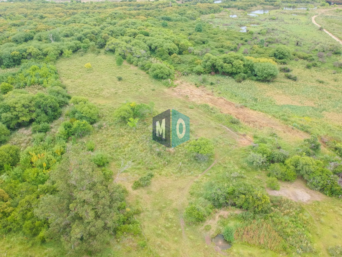 Chacra ID.597 - Chacra en San Carlos - Imperdible