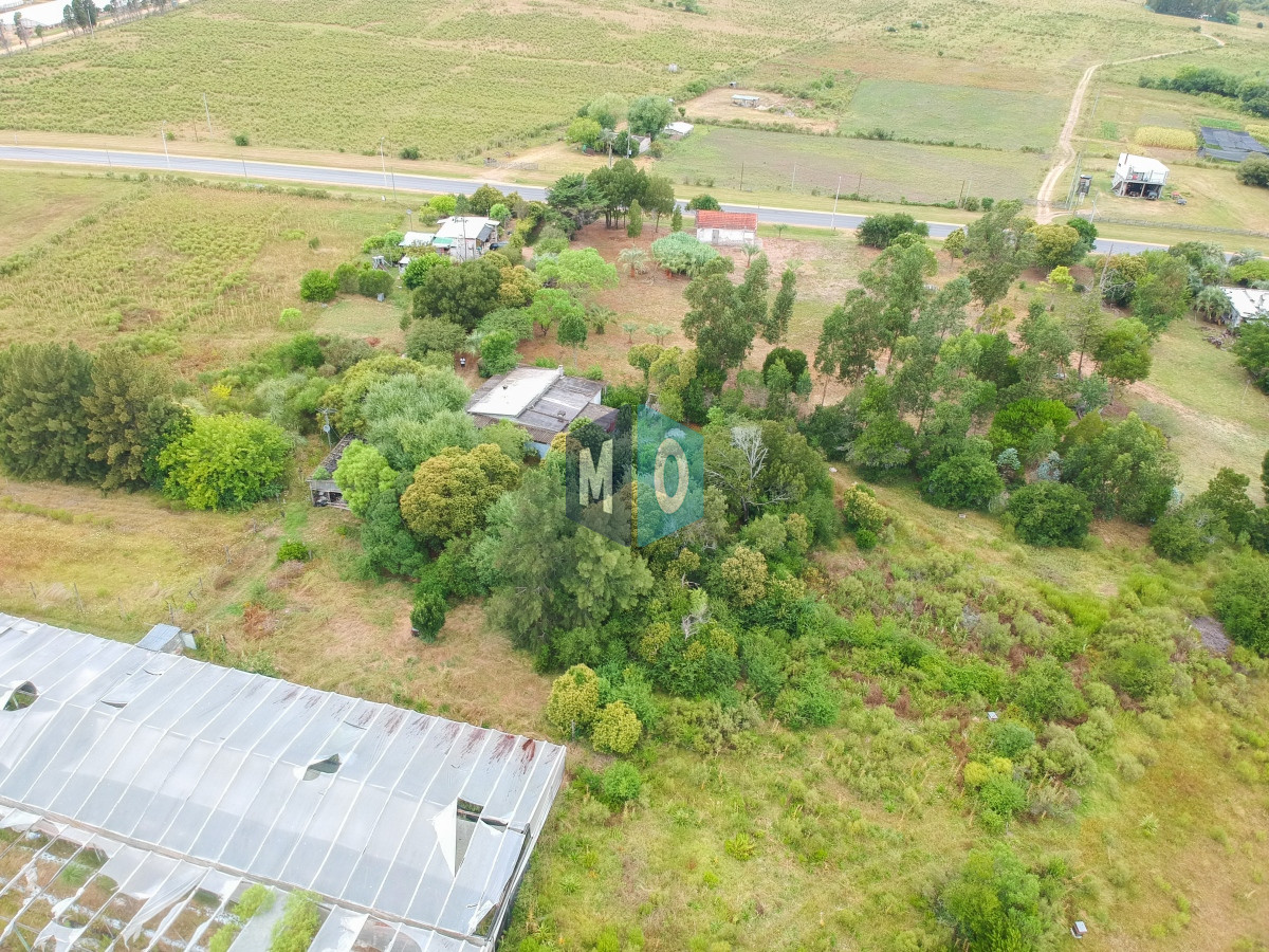 Chacra ID.597 - Chacra en San Carlos - Imperdible