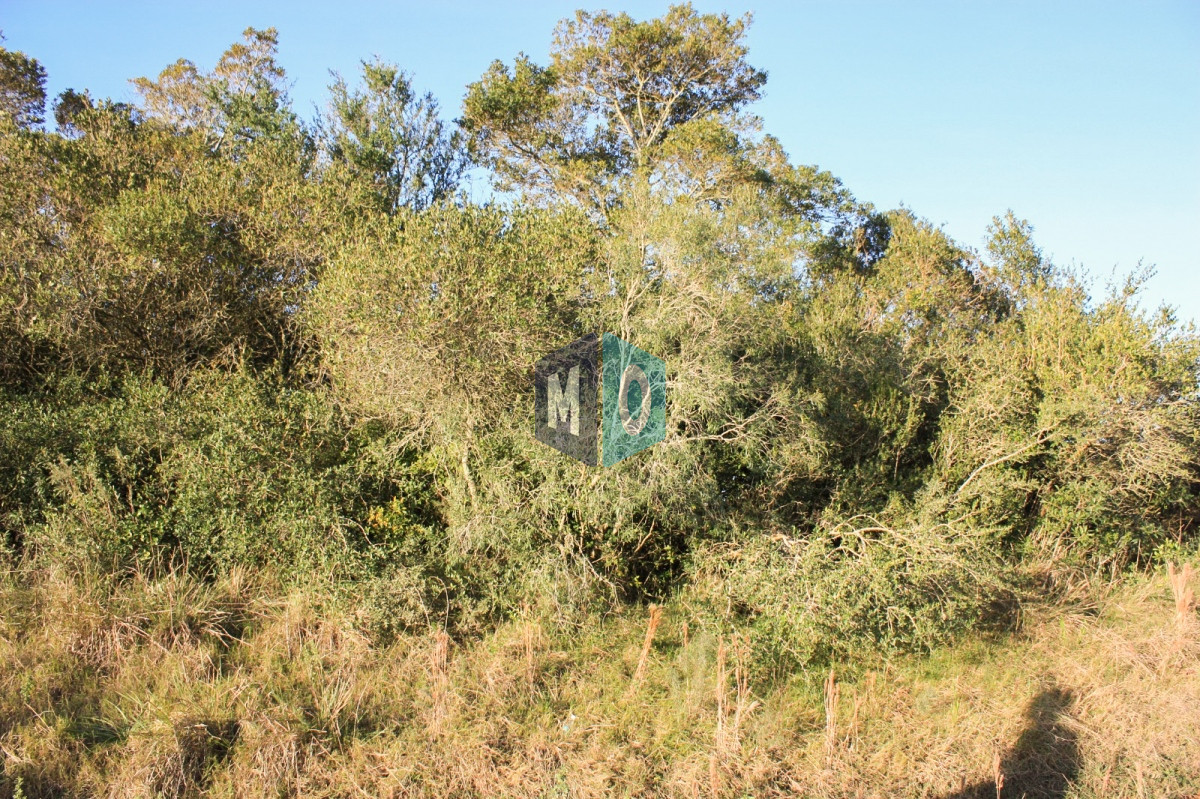 Campo Ref.399 - Campo - Garzón