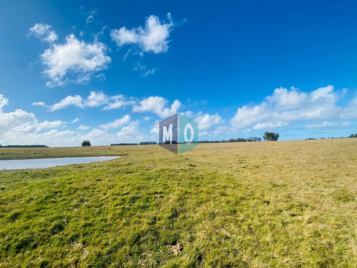 Campo Ref.45 - Campo en Maldonado, 