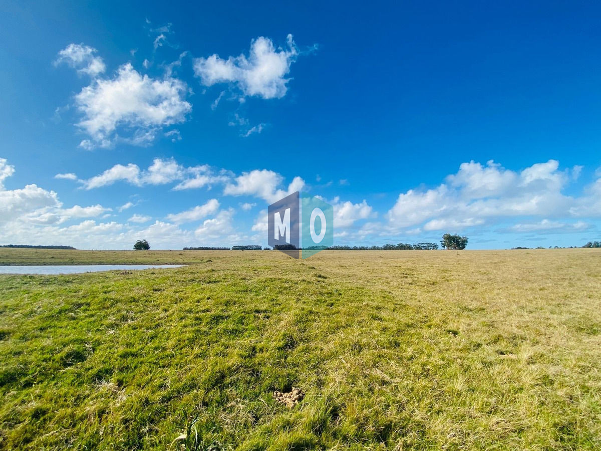Campo Ref.45 - Campo en Maldonado, 