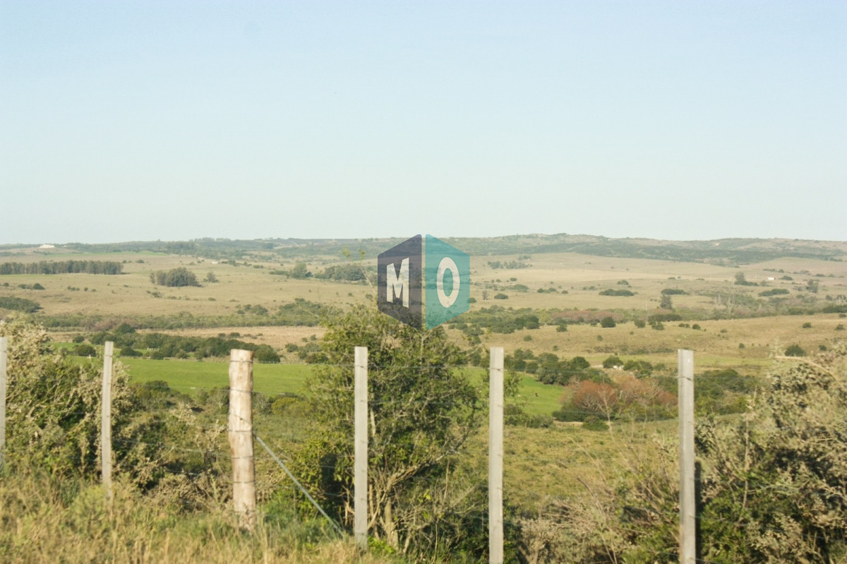 Campo Ref.399 - Campo - Garzón