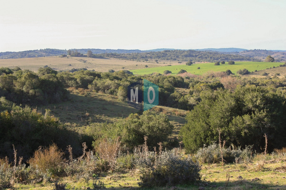 Campo Ref.399 - Campo - Garzón
