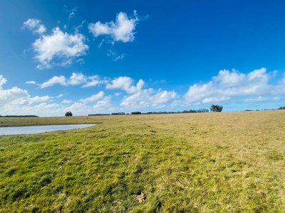 Campo En Venta De 150000m2 Ubicado En Maldonado