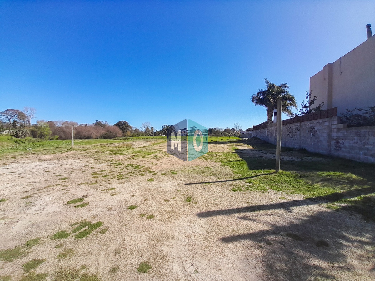 Terreno ID.545 - Terreno - La Loma