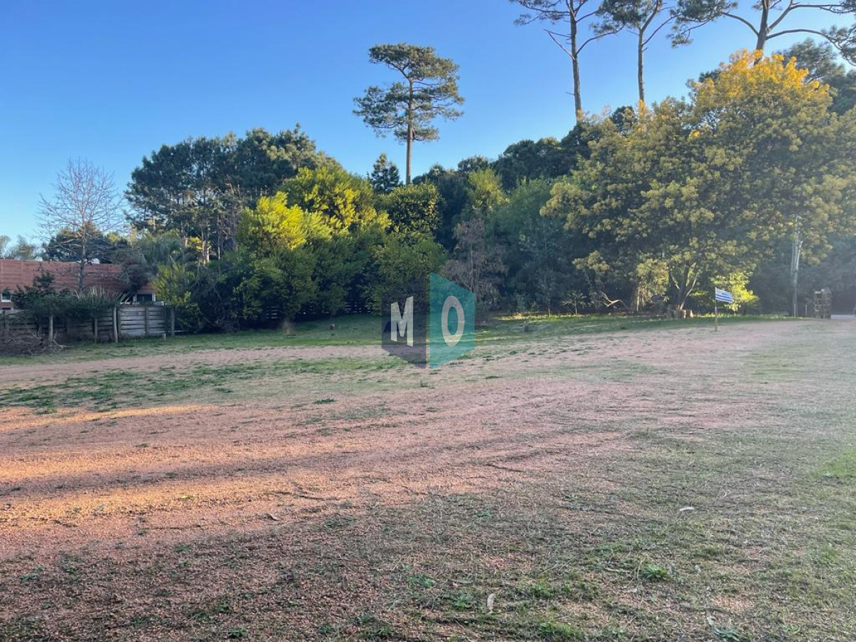 Terreno ID.375 - Terreno - PARQUE BURNETT