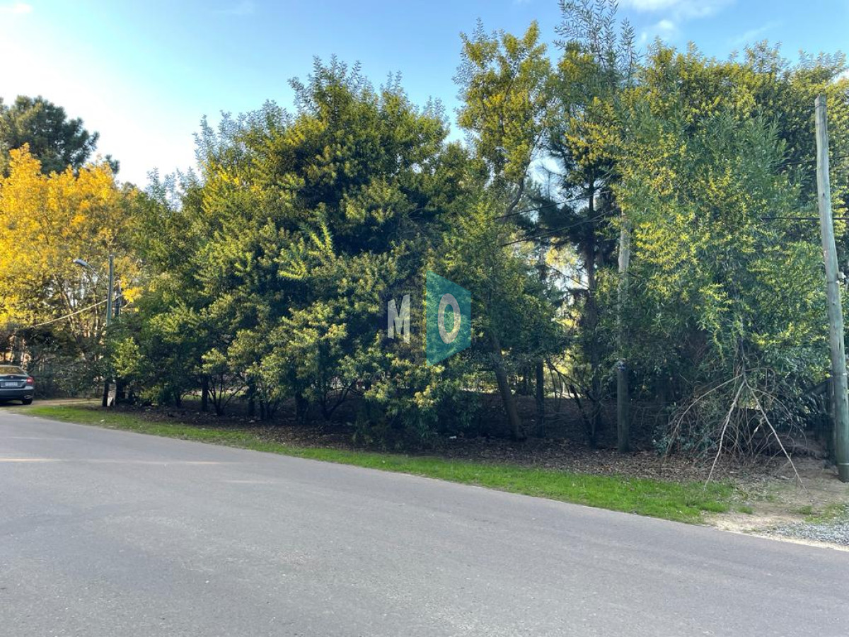 Terreno ID.375 - Terreno - PARQUE BURNETT