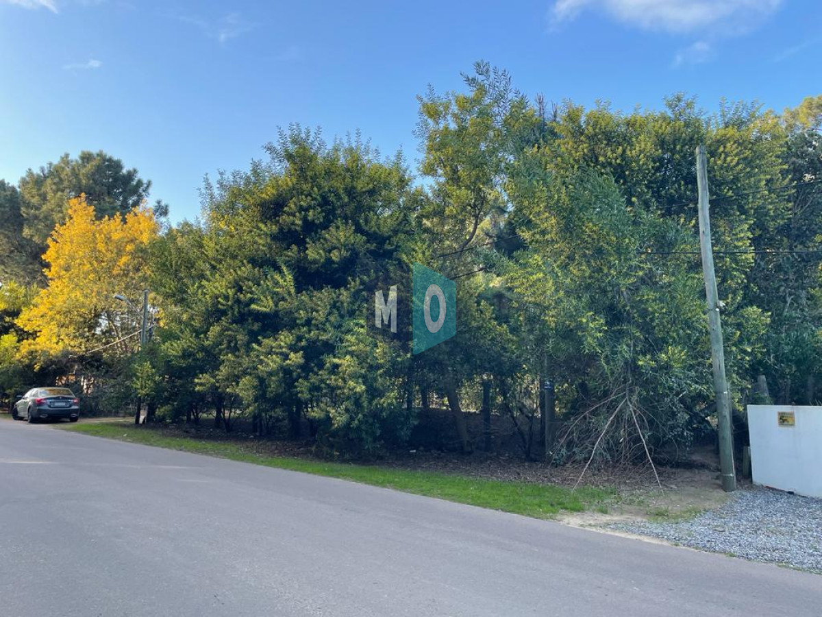 Terreno ID.375 - Terreno - PARQUE BURNETT