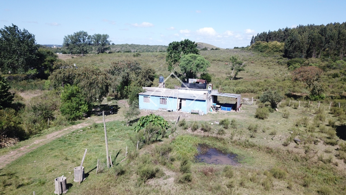 Casa ID.701 - Chacra en venta en Minas