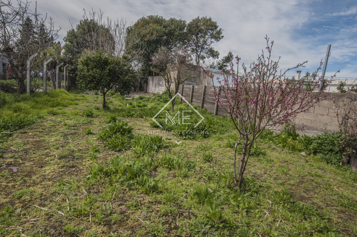 Casa ID.750 - En venta: oportunidad en barrio Estación de Minas, casa en esquina con terreno amplio