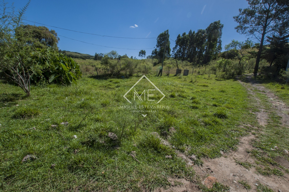 Casa ID.701 - Chacra en venta en Minas