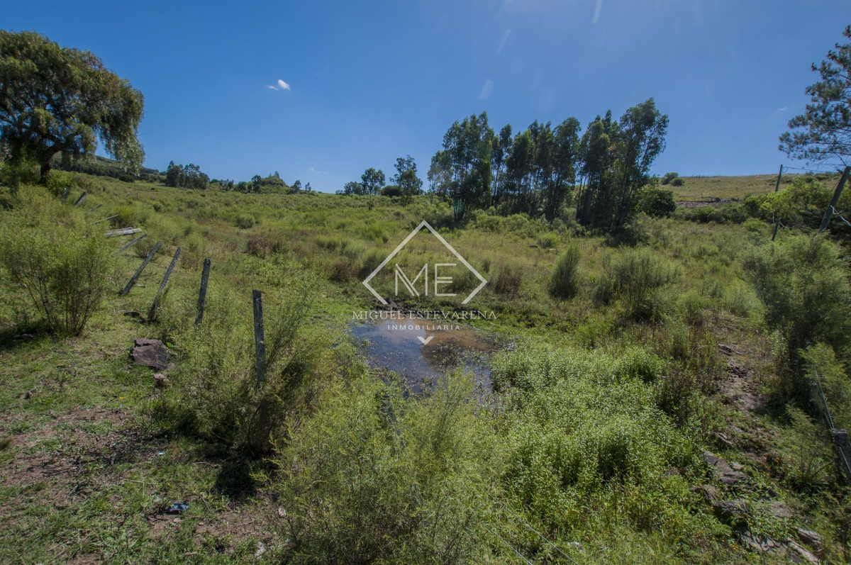 Casa ID.701 - Chacra en venta en Minas