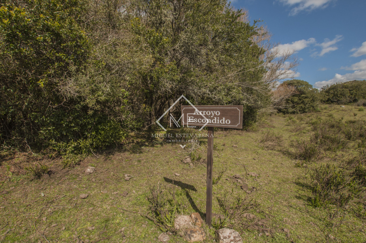 Chacra ID.897 - Chacra en Joyas del Ramallo - 5 Hás con Acceso a 130 Hás de Naturaleza y Arroyo