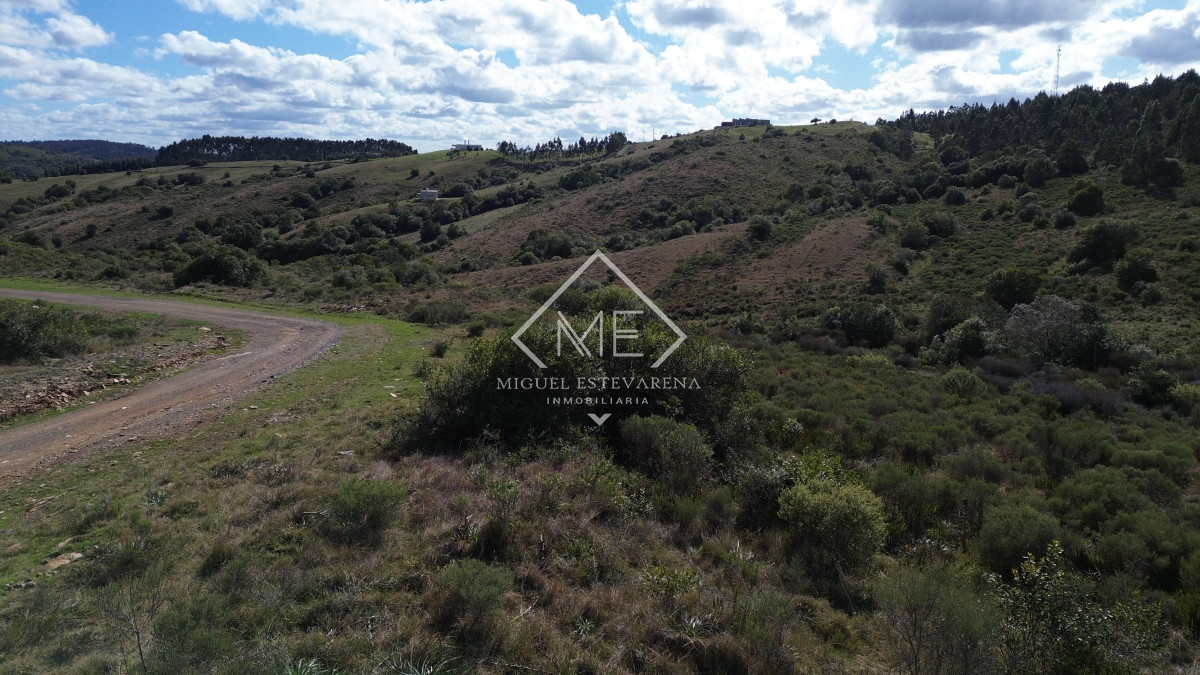 Chacra ID.841 - Chacras Listas Para Escriturar - Acceso Ruta, Venta