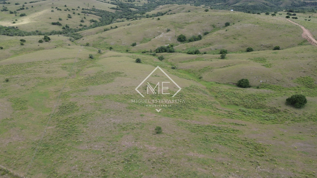 Chacra ID.867 - Oportunidad en Lavalleja: Chacra de Fácil Acceso y Lista para Escriturar