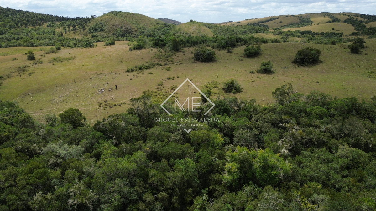 Chacra ID.869 - Oportunidad en Los Tapes - Chacra con Agua Natural y Financiación