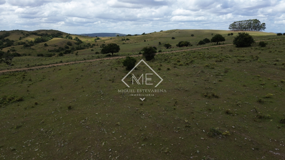 Chacra ID.868 - Chacra en Lavalleja con Financiación - 5 Hás. en Entorno Natural Único