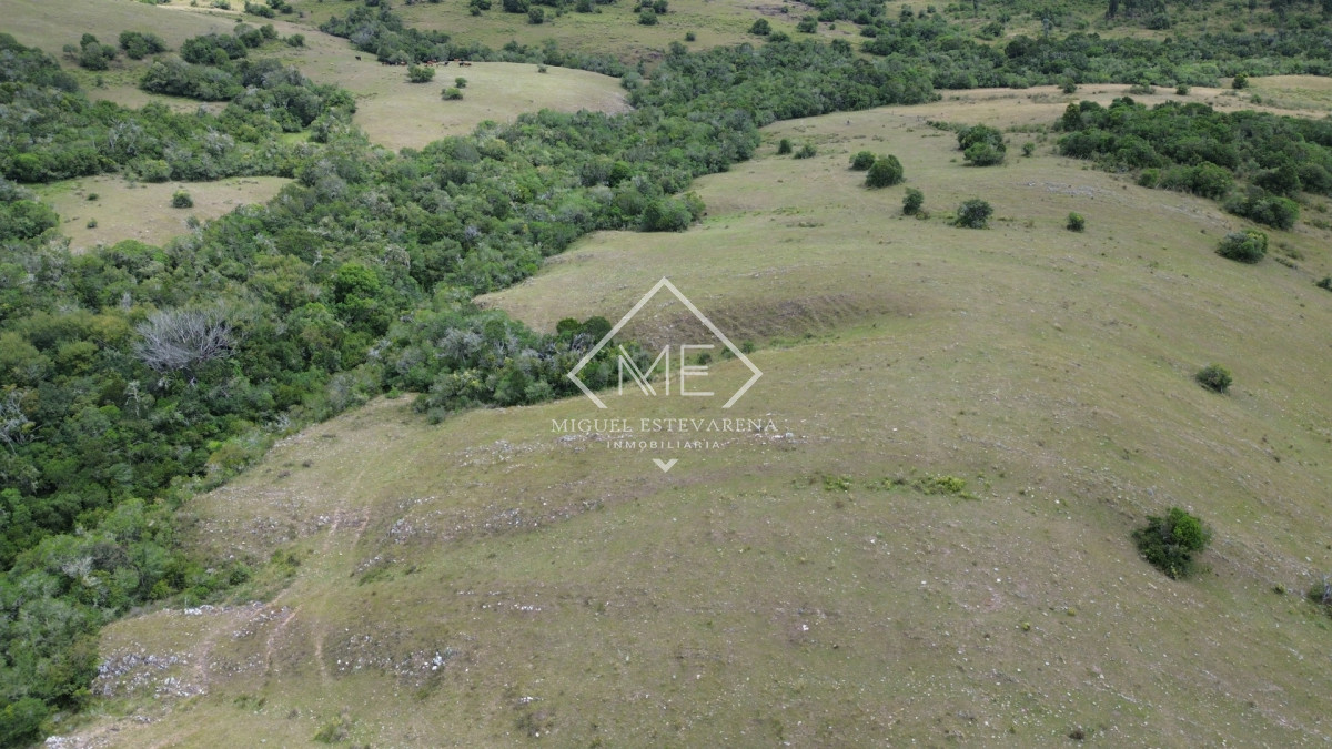 Chacra ID.869 - Oportunidad en Los Tapes - Chacra con Agua Natural y Financiación