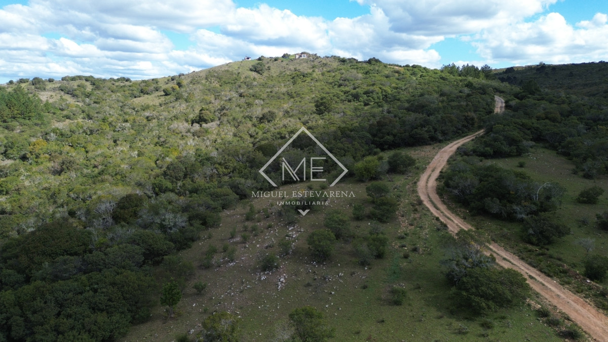 Chacra ID.895 - Venta de Chacra de 5 Hectáreas en Joyas del Ramallo - Chacra N° 3