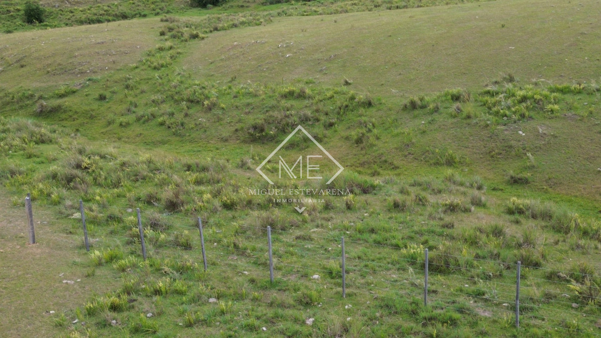 Chacra ID.867 - Oportunidad en Lavalleja: Chacra de Fácil Acceso y Lista para Escriturar