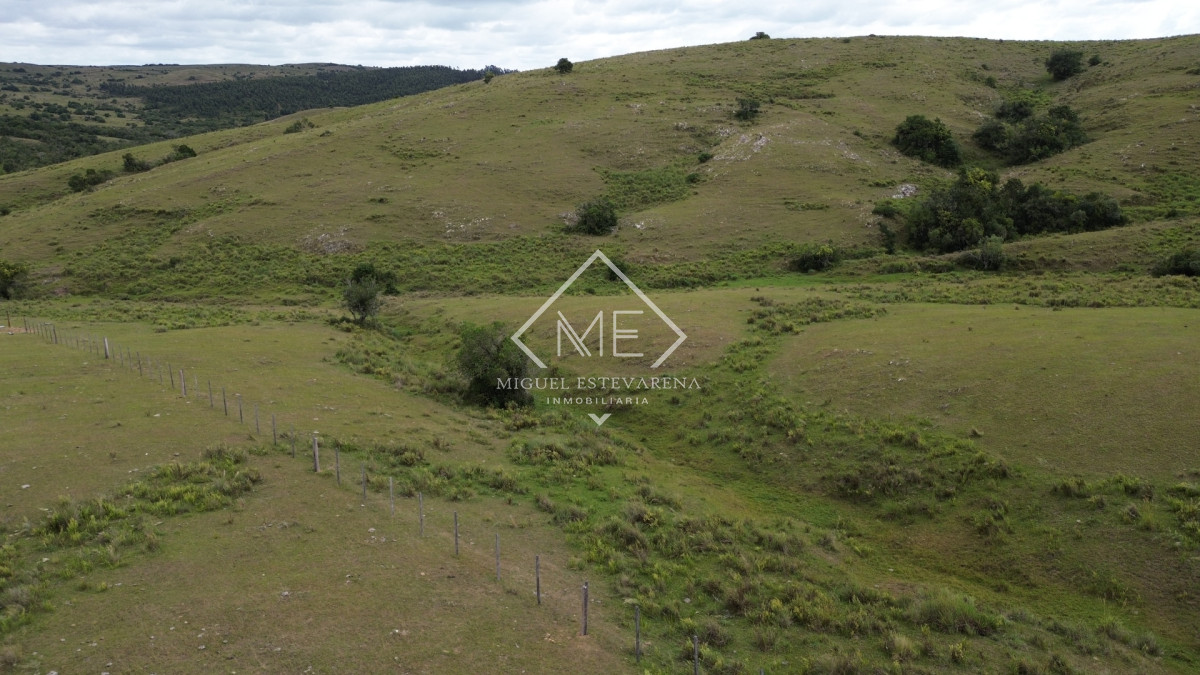 Chacra ID.867 - Oportunidad en Lavalleja: Chacra de Fácil Acceso y Lista para Escriturar