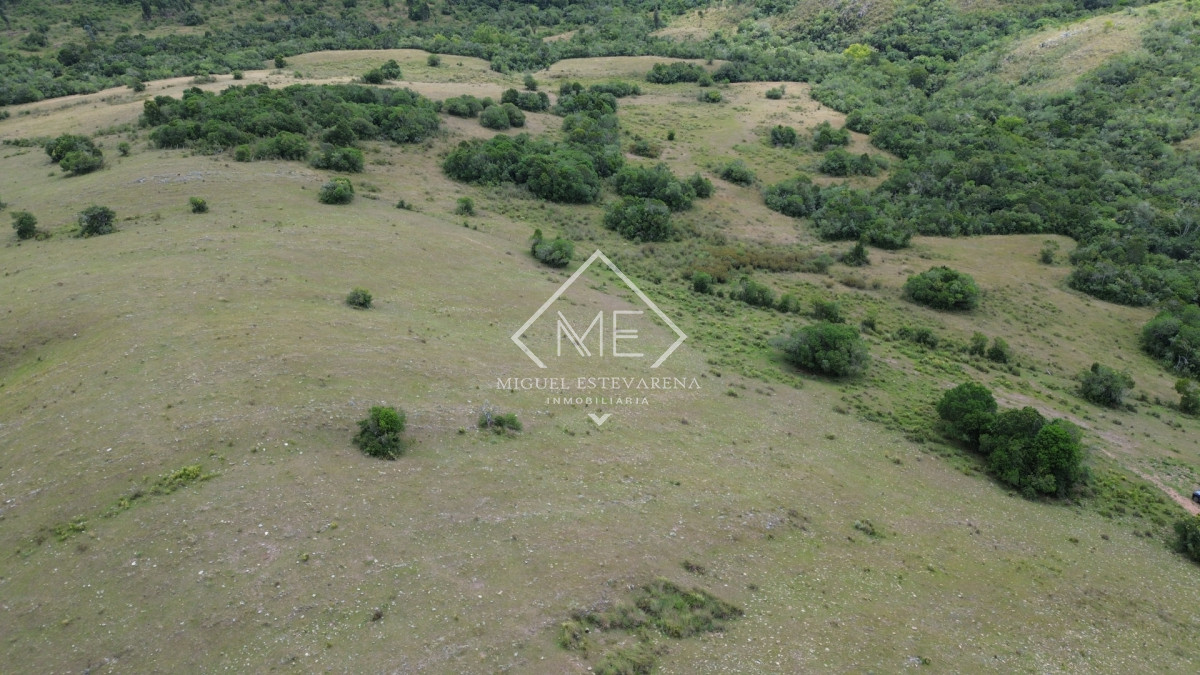 Chacra ID.869 - Oportunidad en Los Tapes - Chacra con Agua Natural y Financiación