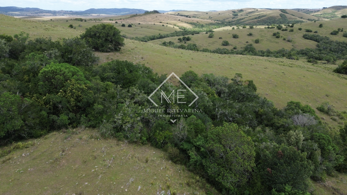 Chacra ID.868 - Chacra en Lavalleja con Financiación - 5 Hás. en Entorno Natural Único