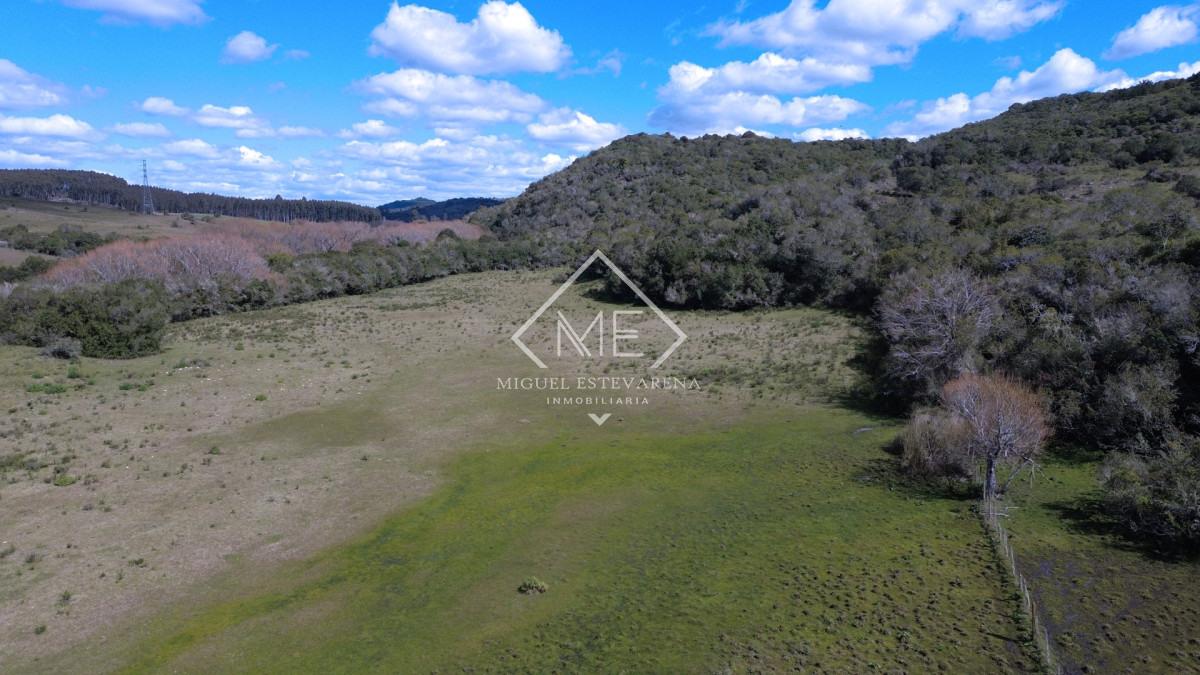 Chacra ID.897 - Chacra en Joyas del Ramallo - 5 Hás con Acceso a 130 Hás de Naturaleza y Arroyo