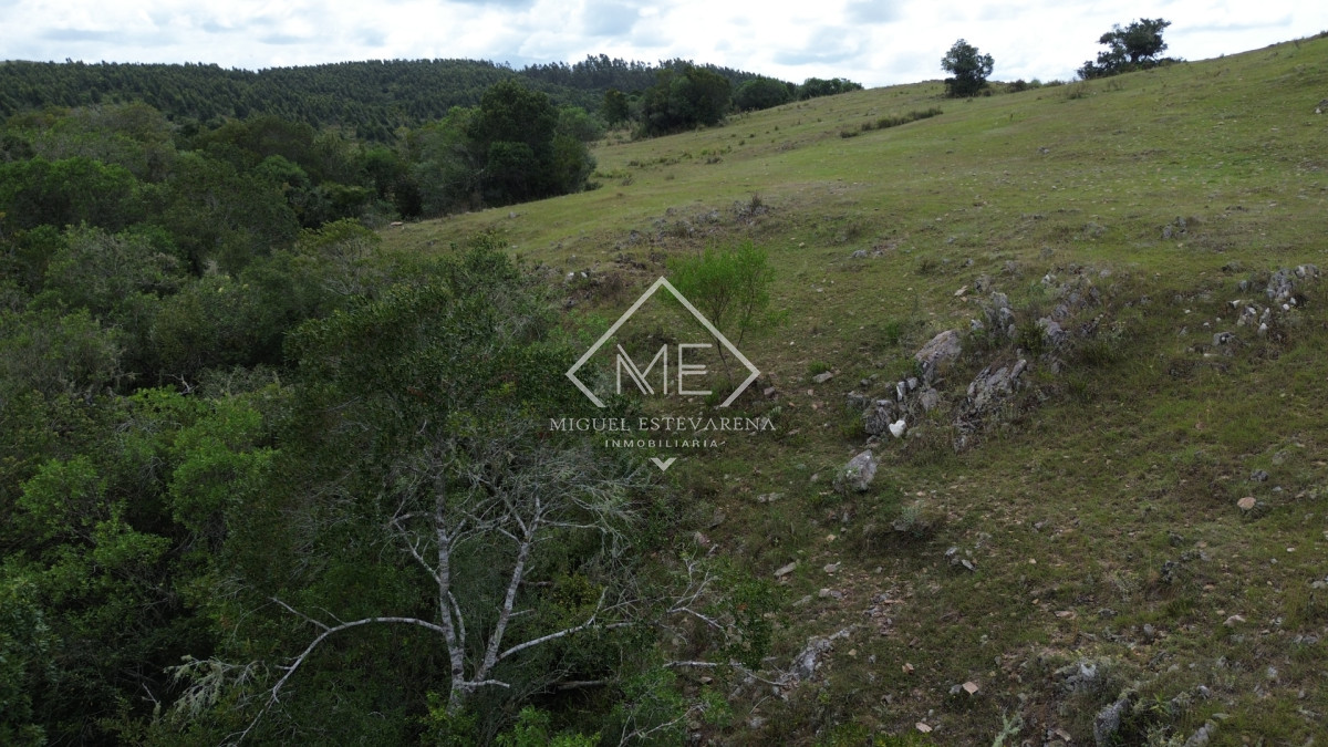 Chacra ID.869 - Oportunidad en Los Tapes - Chacra con Agua Natural y Financiación