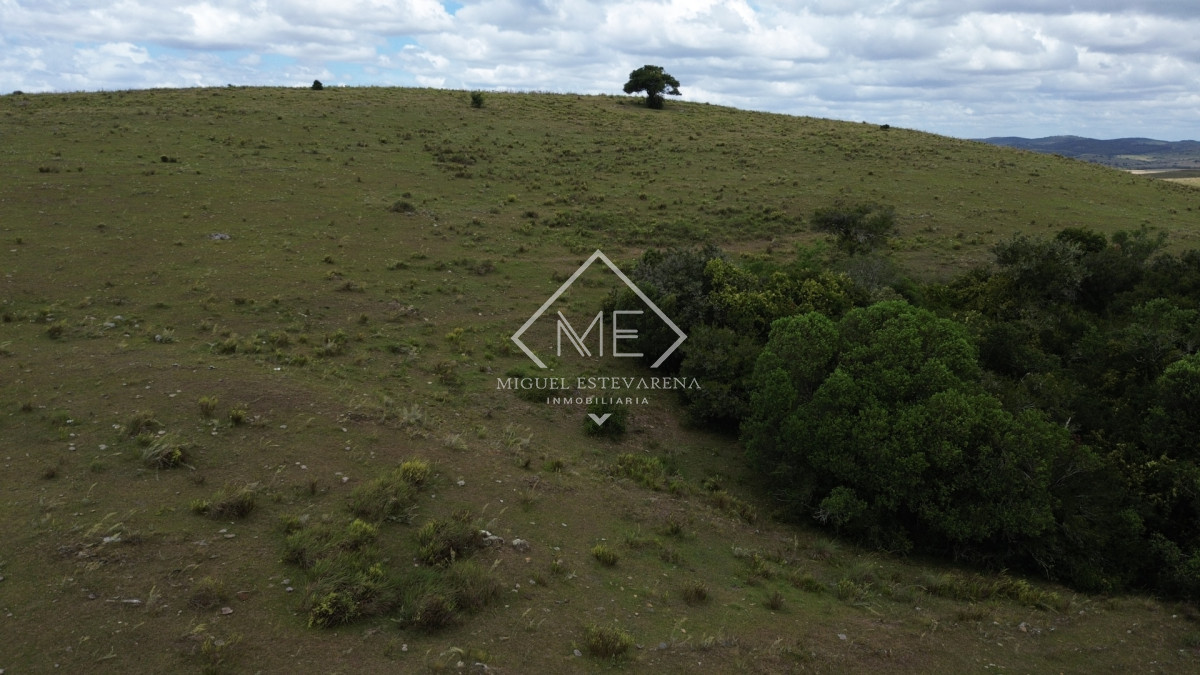 Chacra ID.868 - Chacra en Lavalleja con Financiación - 5 Hás. en Entorno Natural Único