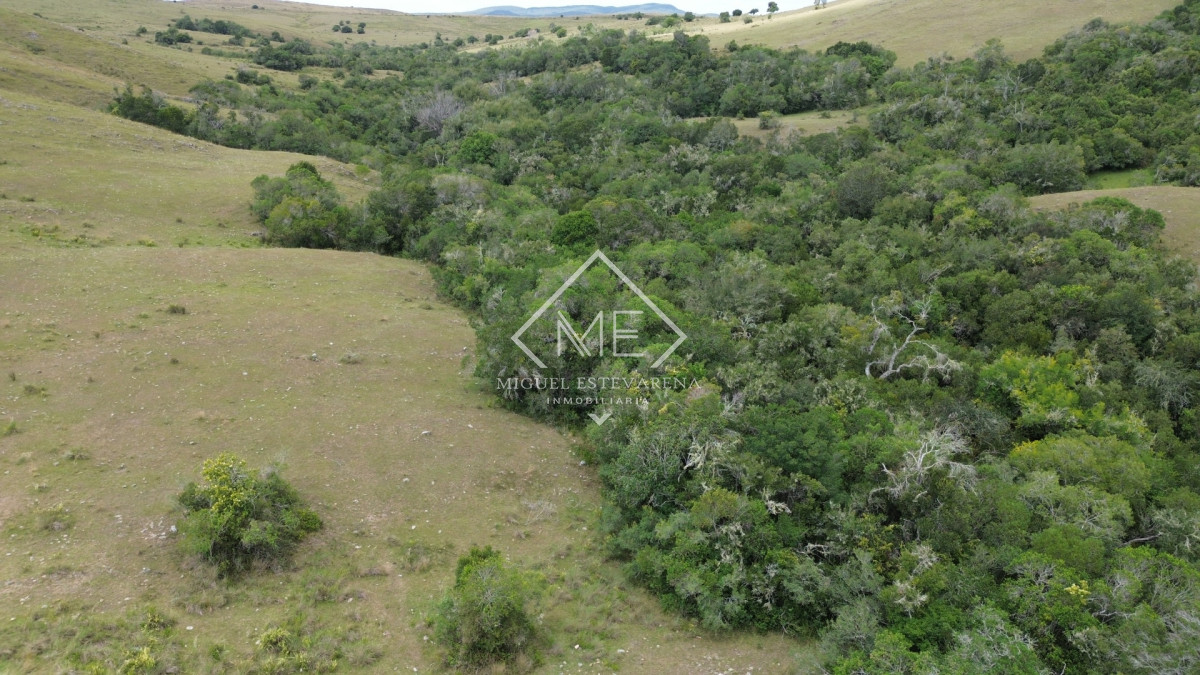 Chacra ID.869 - Oportunidad en Los Tapes - Chacra con Agua Natural y Financiación