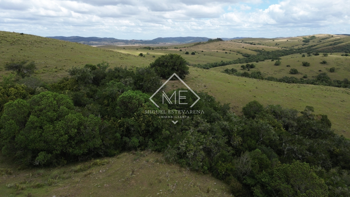 Chacra ID.869 - Oportunidad en Los Tapes - Chacra con Agua Natural y Financiación