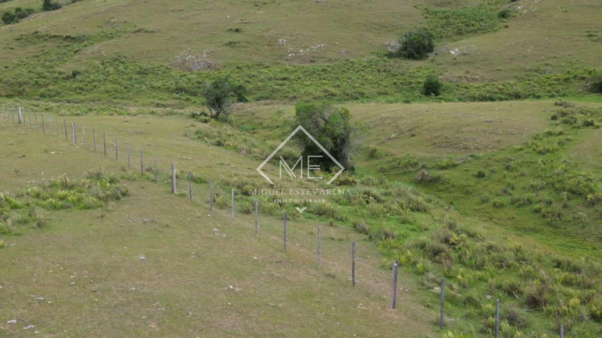 Chacra ID.867 - Oportunidad en Lavalleja: Chacra de Fácil Acceso y Lista para Escriturar