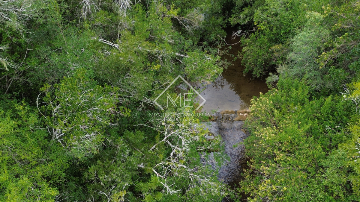 Chacra ID.869 - Oportunidad en Los Tapes - Chacra con Agua Natural y Financiación