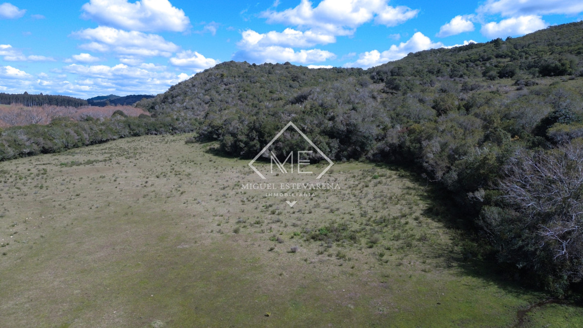Chacra ID.897 - Chacra en Joyas del Ramallo - 5 Hás con Acceso a 130 Hás de Naturaleza y Arroyo