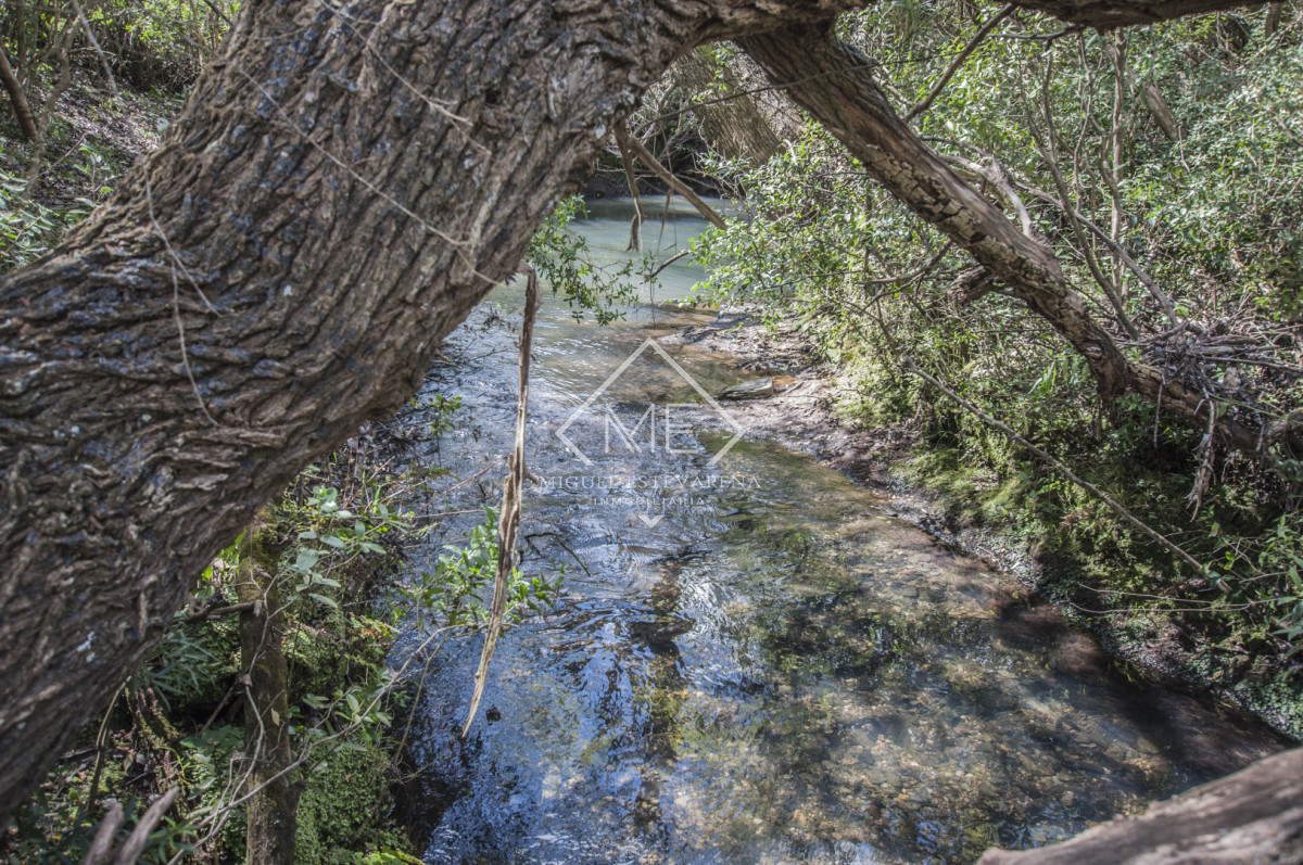 Chacra ID.897 - Chacra en Joyas del Ramallo - 5 Hás con Acceso a 130 Hás de Naturaleza y Arroyo