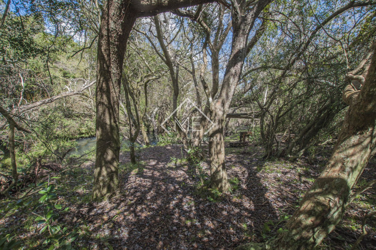 Chacra ID.897 - Chacra en Joyas del Ramallo - 5 Hás con Acceso a 130 Hás de Naturaleza y Arroyo