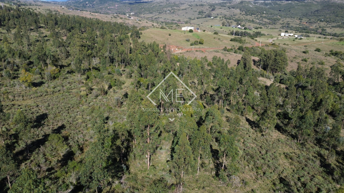 Chacra ID.840 - En venta Chacras En Ruta 60 - Financiación Propia, Sin Gastos Comunes