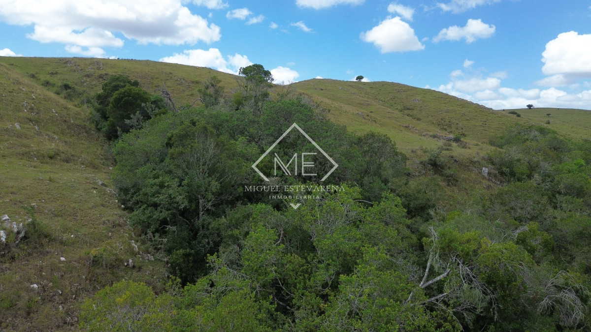 Chacra ID.868 - Chacra en Lavalleja con Financiación - 5 Hás. en Entorno Natural Único