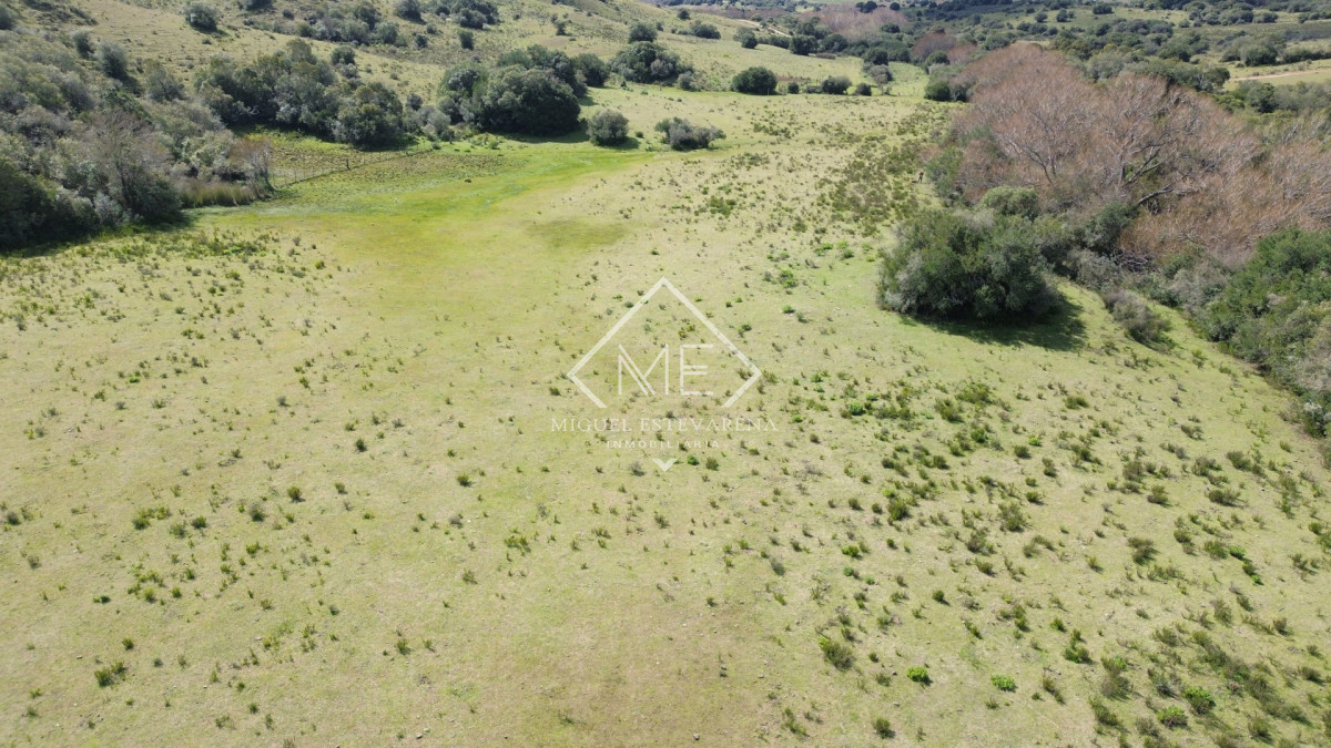 Chacra ID.897 - Chacra en Joyas del Ramallo - 5 Hás con Acceso a 130 Hás de Naturaleza y Arroyo