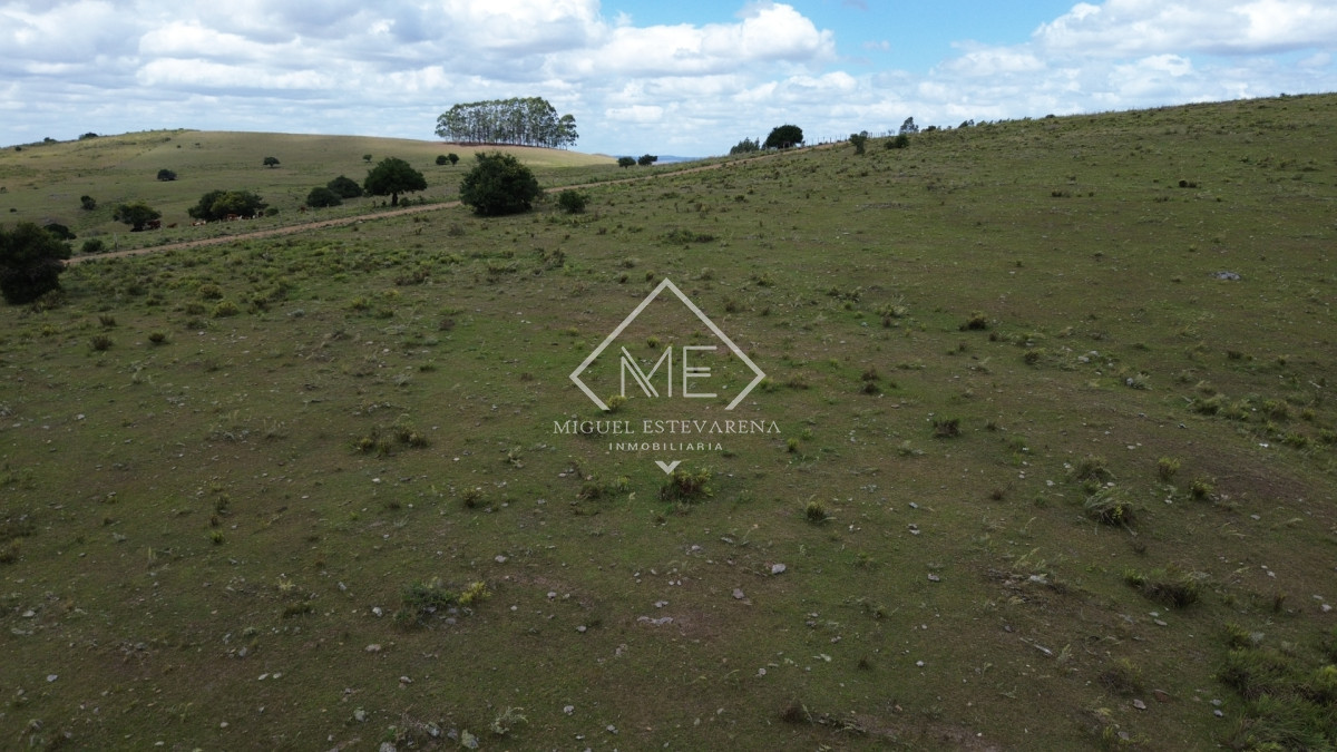 Chacra ID.868 - Chacra en Lavalleja con Financiación - 5 Hás. en Entorno Natural Único